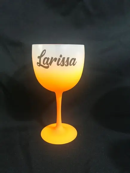 Taça de Gin Degrade de 450 ml Person. com Nomes Diferentes