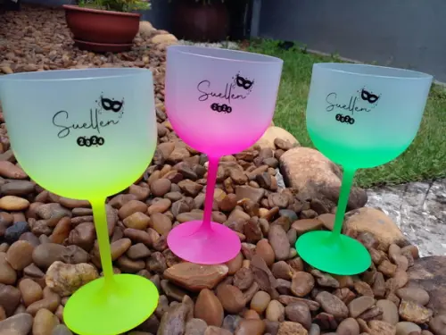 Taça de Gin Degrade Personalizada de 450 ml