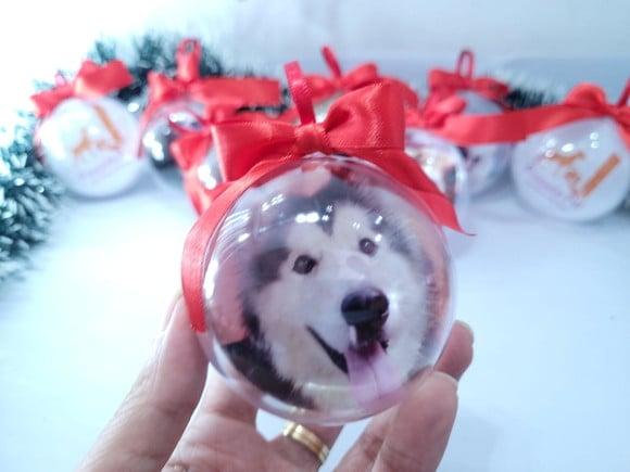 Bola de Natal Personalizada com Foto do Seu Pet
