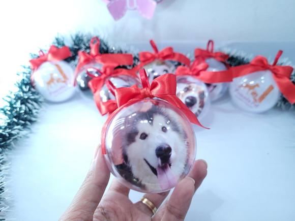 Bola de Natal Personalizada com Foto do Seu Pet