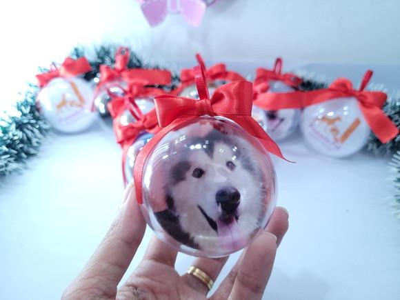 Bola de Natal Personalizada com Foto do Seu Pet