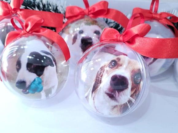 Bolinha de Natal Personalizada com a Foto do Seu Pet