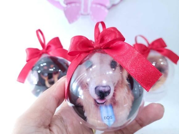 Bolinha de Natal Pet com Foto do Seu Animalzinho