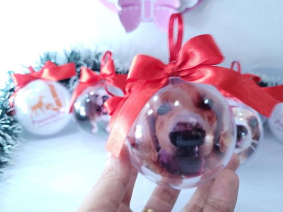 Bolinha de Natal Pet Personalizada com Foto