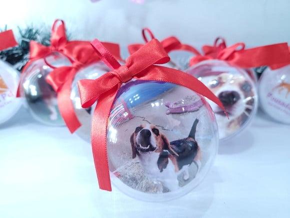 Bolinha de Natal Pet Personalizada com Foto do Seu Bichinho