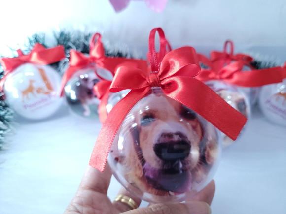 Bolinha de Natal Pet Personalizada com Foto