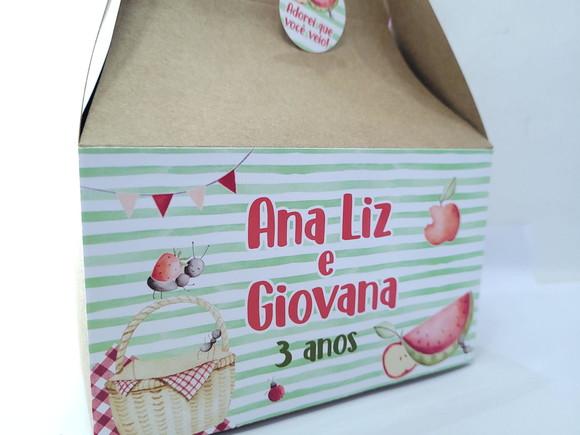 Caixa Maleta para Lanche e Piquenique Grande com Tag