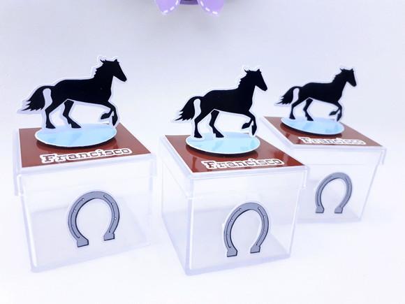 Caixinha Acrílica Cavalo Haras 5cm