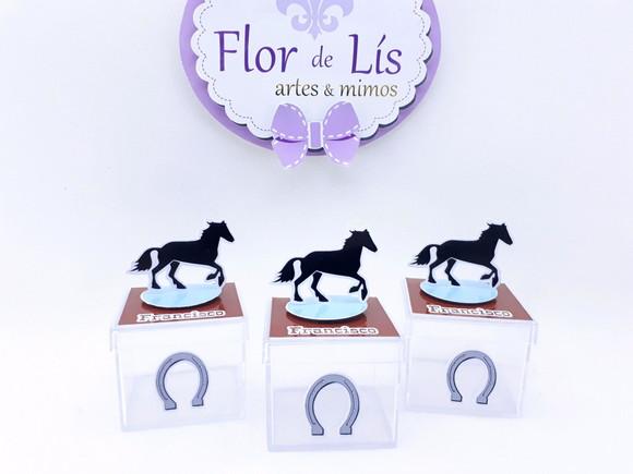 Caixinha Acrílica Cavalo Haras 5cm