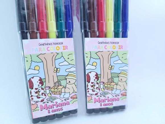 Canetinhas Personalizada 6 Cores para Pintar Bobbie Goods