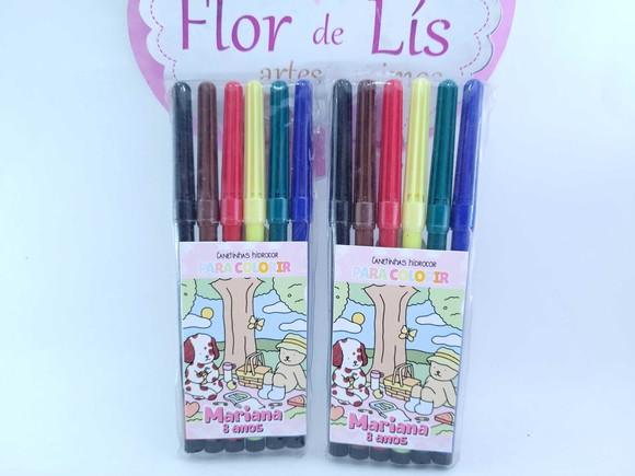 Canetinhas Personalizada 6 Cores para Pintar Bobbie Goods