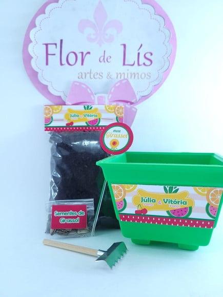Kit Ecológ Plantação Festa Quitandinha Lembrancinha Frutaria