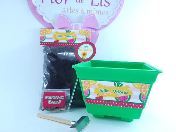 Kit Ecológ Plantação Festa Quitandinha Lembrancinha Frutaria