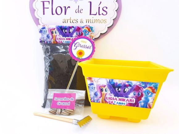 Kit Ecológico My Little Pony Lembrancinha