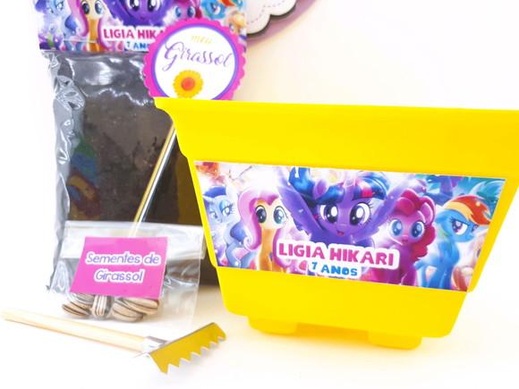 Kit Ecológico My Little Pony Lembrancinha