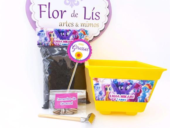 Kit Ecológico My Little Pony Lembrancinha