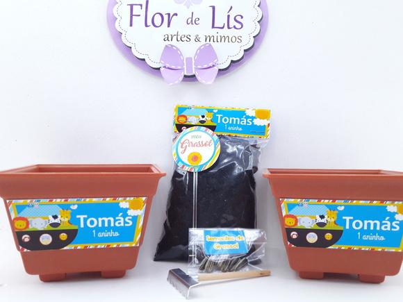 Kit Ecológico Plantação Arca de Noé