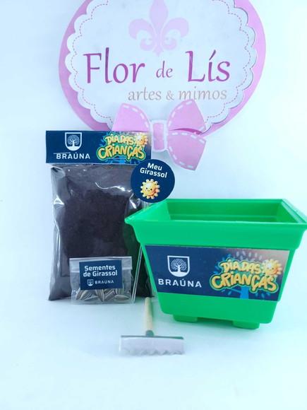 Kit Ecológico Plantação Brinde Logo Empresa