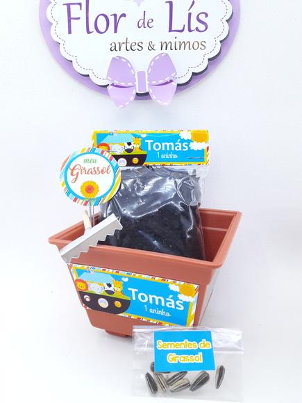 Kit Ecológico Plantação Arca de Noé