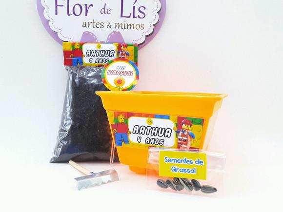 Kit Ecológico Plantação Lego