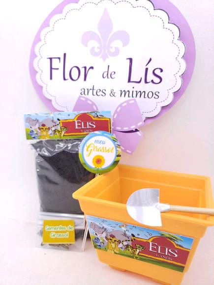 Kit Ecológico Plantio Guarda do Leão