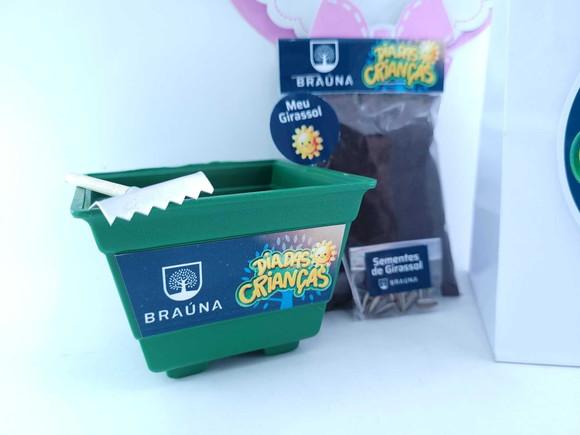 Kit Ecológico Vamos Plantar Brinde Logo Empresa Girassol