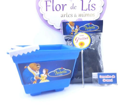Kit Jardim Lembrancinha a Bela e a Fera