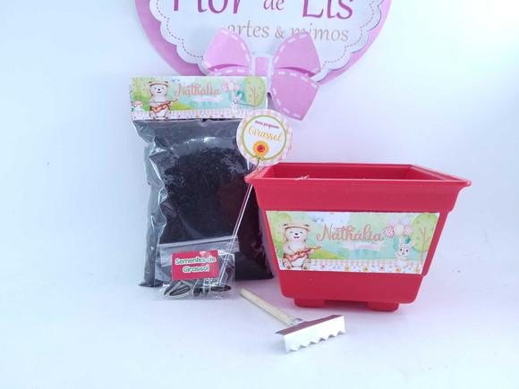 Kit Jardim Encantado Menina Plantio Ecológico