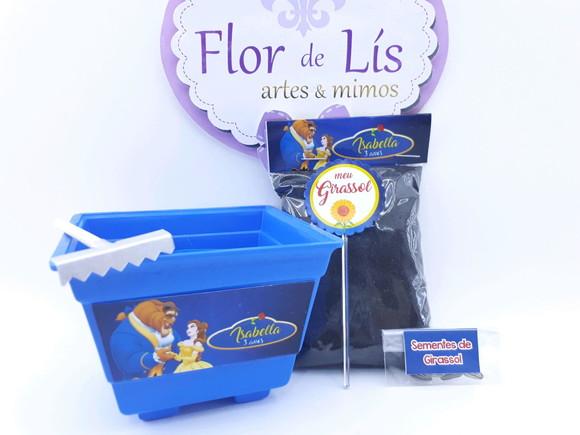 Kit Jardim Lembrancinha a Bela e a Fera