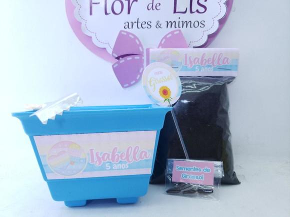 Kit Jardim Personalizado Pop It Candy Color