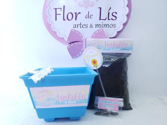 Kit Jardim Personalizado Pop It Candy Color