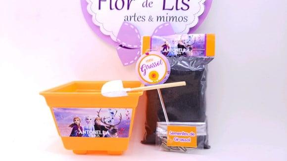 Kit Jardim Plantação Frozen 2
