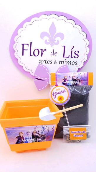 Kit Jardim Plantação Frozen 2