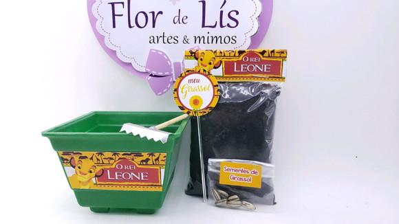 Kit Jardim Plantação o Rei Leão