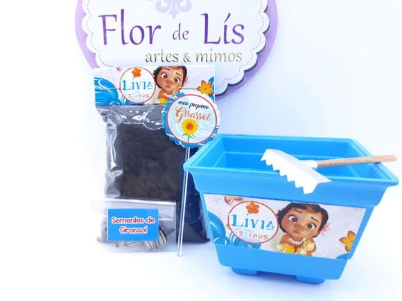 Kit Jardim Plantação Moana Baby