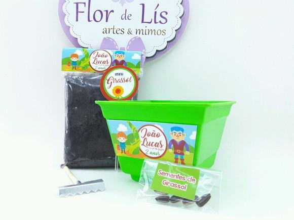 Kit Jardinagem do Conto João e o Pé de Feijão Livro História