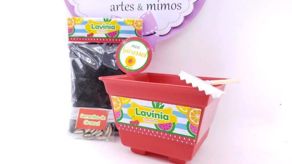 Kit Jardinagem Plantação Quitandinha Festa Frutinhas Feira