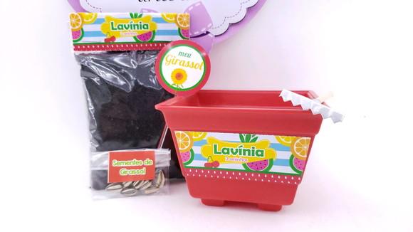 Kit Jardinagem Plantação Quitandinha Festa Frutinhas Feira