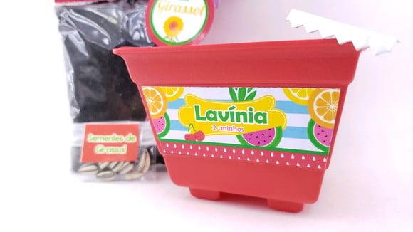 Kit Jardinagem Plantação Quitandinha Festa Frutinhas Feira