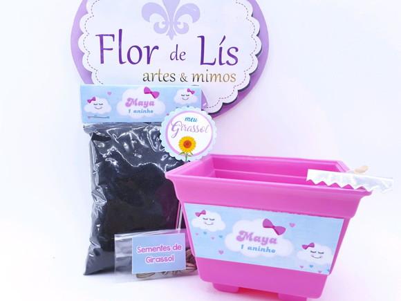 Kit Jardinagem Plantio Chuva de Amor Benção