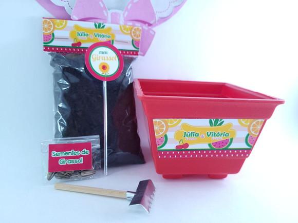 Kit Jardinagem Quitandinha Festa Frutas