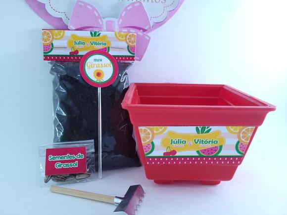 Kit Jardinagem Quitandinha Festa Frutas