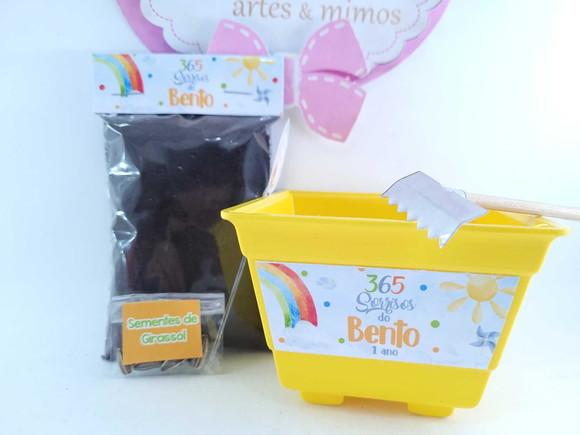 Kit Plantação 365 Sorrisos Primeira Volta ao Sol Festa