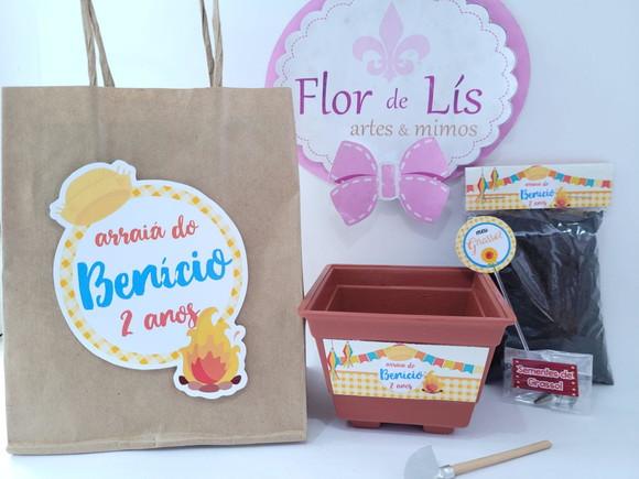 Kit Plantação com Sacola Festa Junina Arraiá Prenda