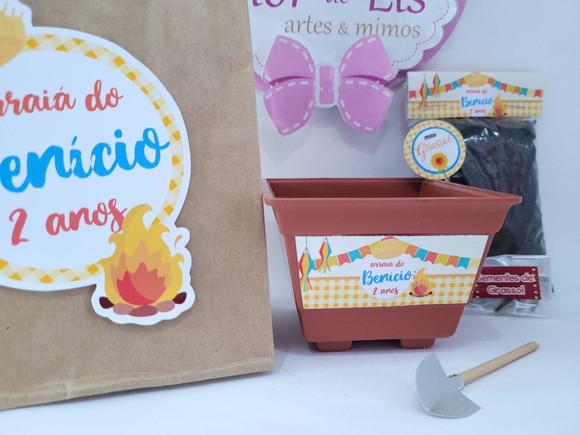 Kit Plantação com Sacola Festa Junina Arraiá Prenda