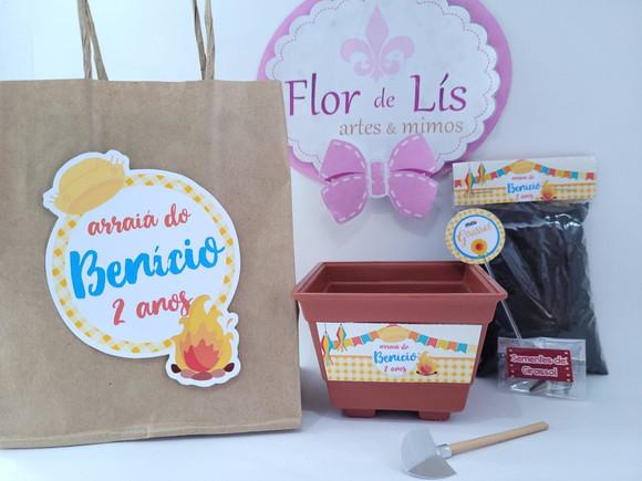 Kit Plantação com Sacola Festa Junina Arraiá Prenda