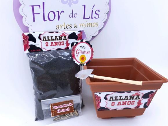 Kit Plantação Country Fazendinha Boiadeira