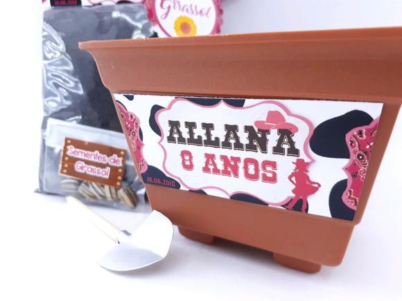 Kit Plantação Country Fazendinha Boiadeira