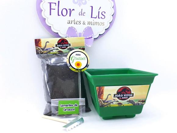 Kit Plantação Dinossauros Jurassic