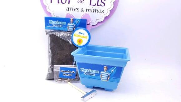 Kit Plantação Ecológico Lembrancinha Ken da Barbie